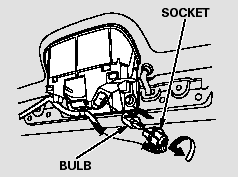 4. Pull the bulb straight out of its