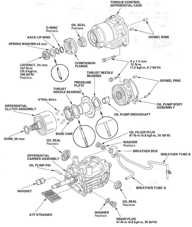 Honda CR-V. Rear Differential