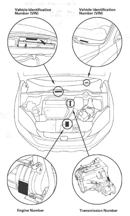 Honda CR-V. Identification Number Locations